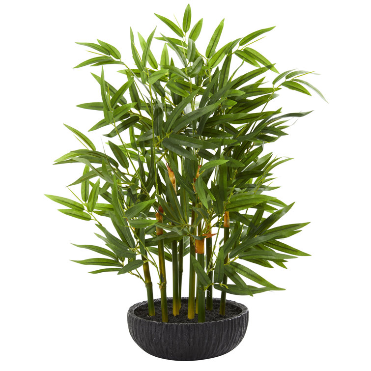 Bay Isle Home 20'' Faux Bamboo Plant in Pot & Reviews Wayfair